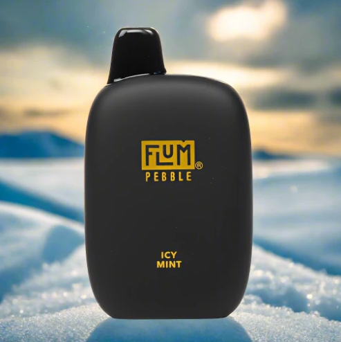 FLUM Pebble 6000 Züge Vape - Eisige Minze: Ein frischer Star am deutschen Vape-Himmel im Jahr 2025