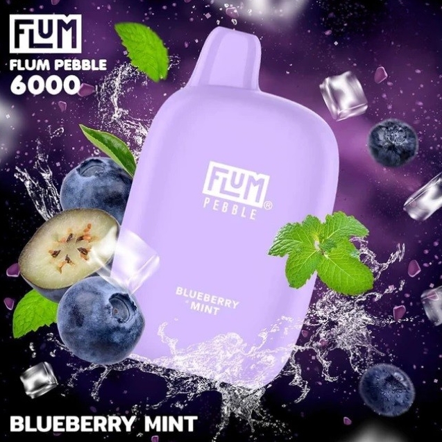 FLUM PEBBLES 6000 Züge – Blaubeerminze: Die Revolution des Geschmacks in der Vape-Welt