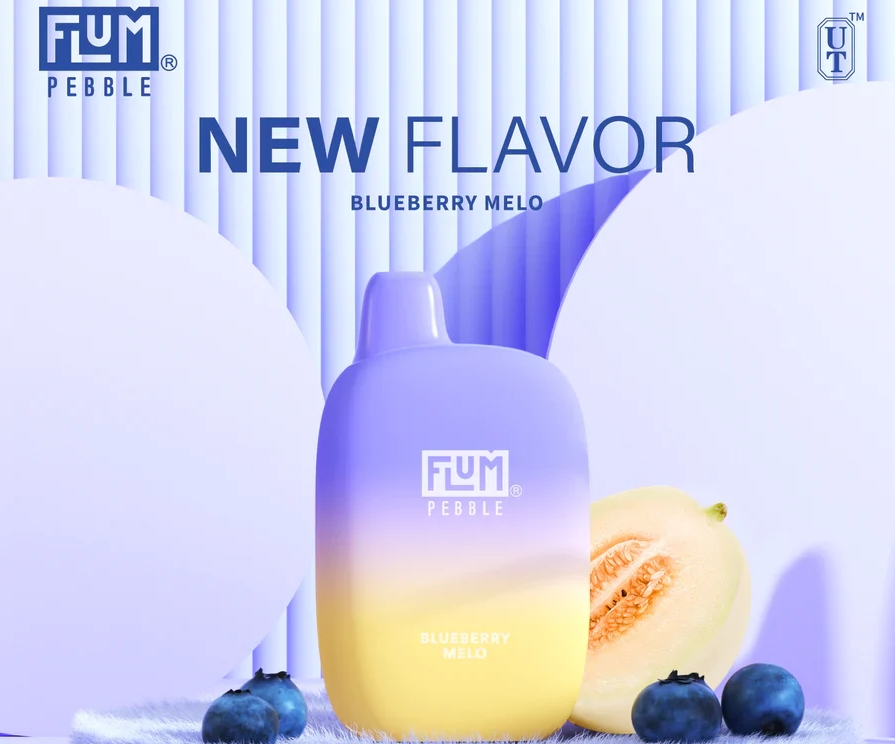 FLUM PEBBLES 6000 Züge Vape wiederaufladbar – Blaubeermelo: Fruchtiger Dampfgenuss trifft moderne Technik