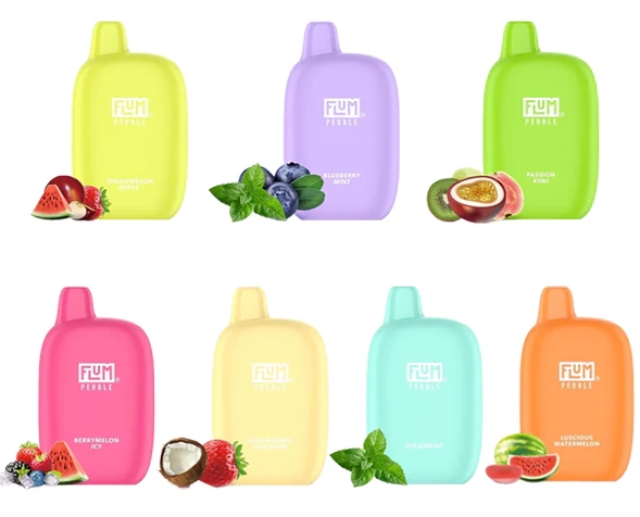 FLUM PEBBLES 6000 Züge Vape wiederaufladbar – Blaubeermelo: Fruchtiger Dampfgenuss trifft moderne Technik