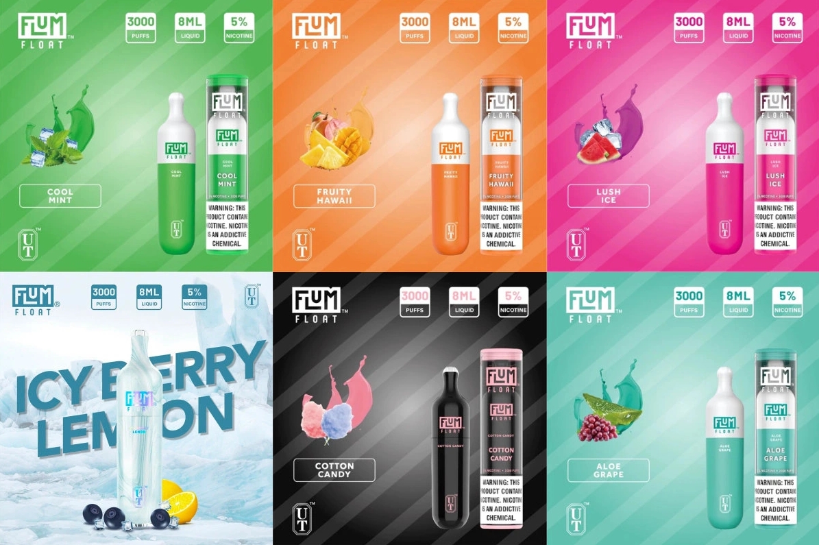 FLUM FLOAT 3000 Züge Vape - Gemischte Beeren: Ein Meisterwerk für Vaper in Österreich