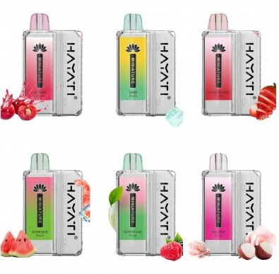 Die Zukunft des stylischen Vapens: Hayati Infinity 6000 Prefilled Pod Kit Vape - Rosen-Litschi